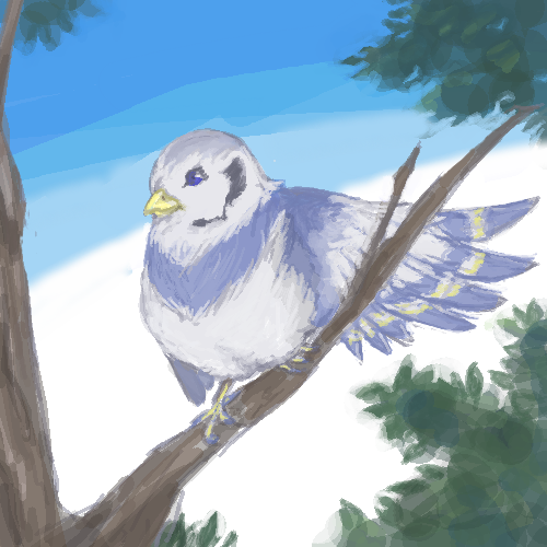 ボーカロイ鳥