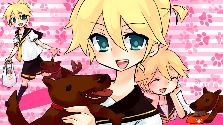愛される犬