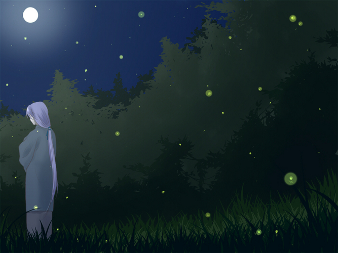 蛍が作る星空