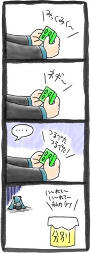 新たな商品展開