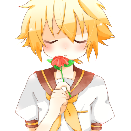 ✿