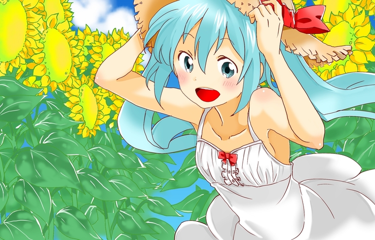8月 ひまわり畑