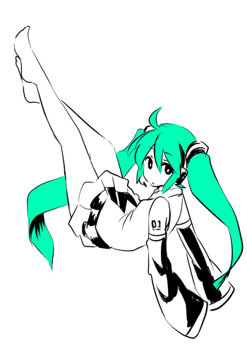 ハツネミク