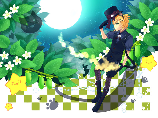 月夜にゃんこ
