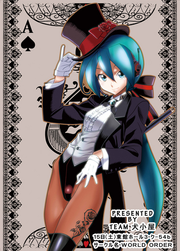 DIVA マジシャンモジュール