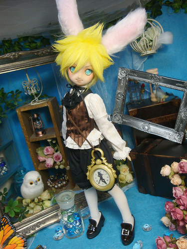 WHITE RABBIT