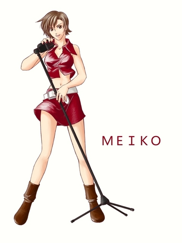 メイコさん