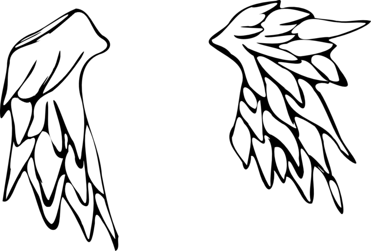 T【素材】
