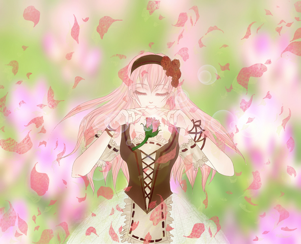 蕾が開く瞬間