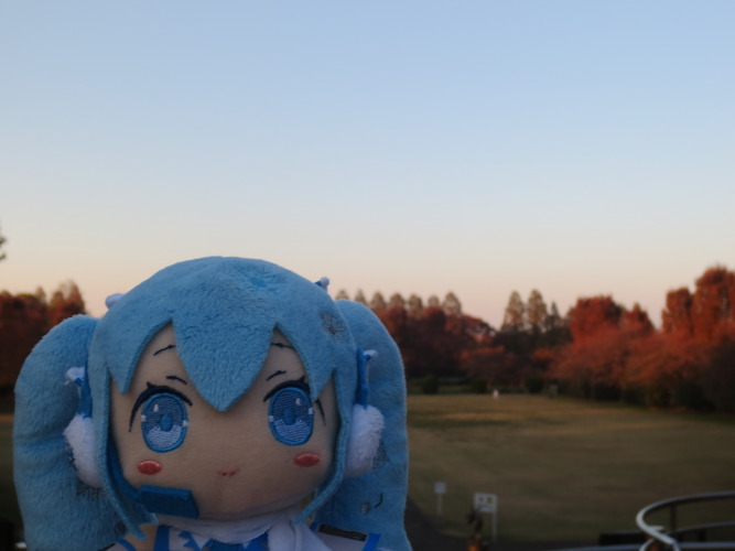 雪ミクさんと夕暮れ前の紅葉