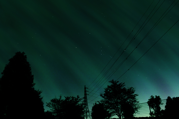 Vert nocturne