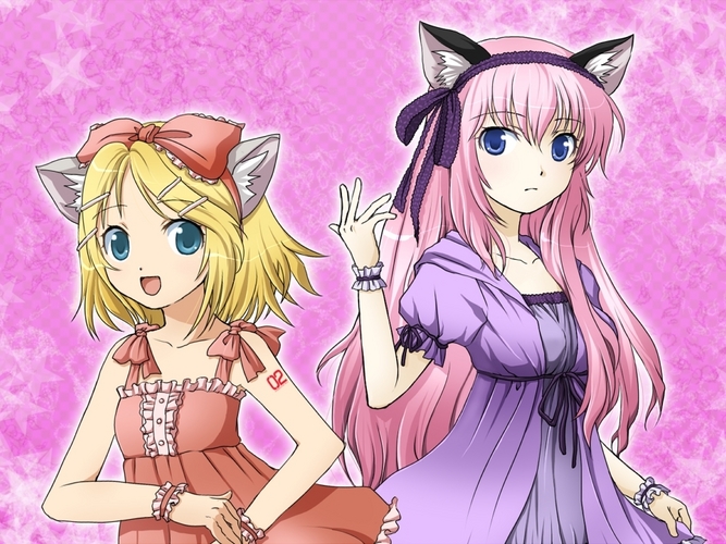 猫ルカリン