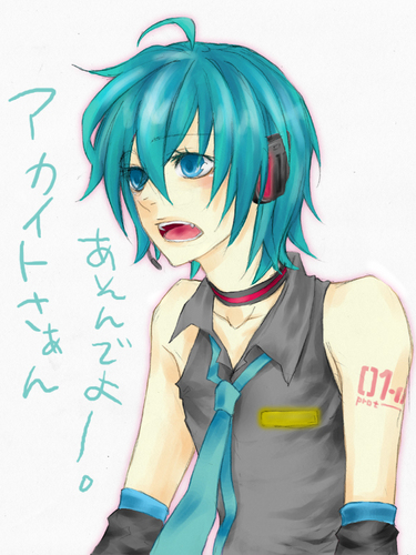 ミクオ詰め合わせ おまけでアカイト
