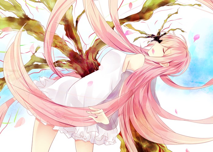 蕾が膨らみ花を咲かせて