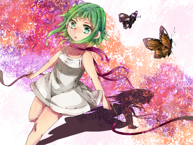-アカムラサキ-