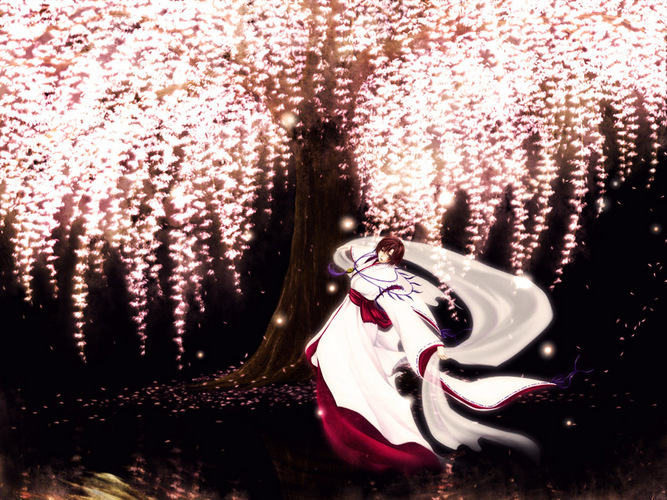 桜