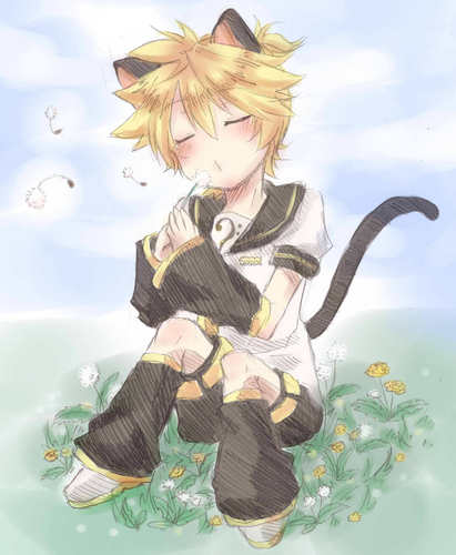 タンポポ