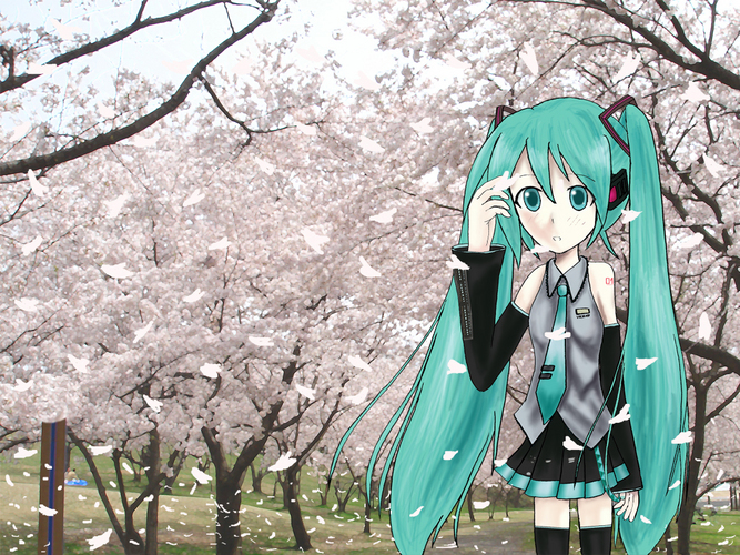 桜ミク