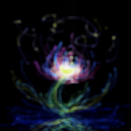 夜光華。