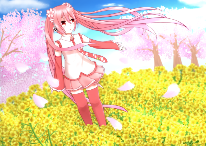 桜ミク