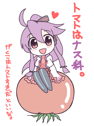 トマトはなす科。