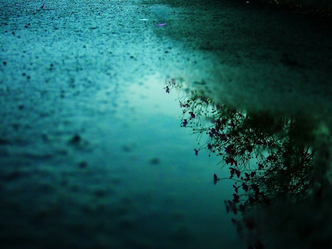 雨が止む