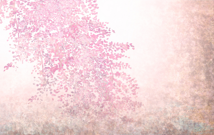 花の色は