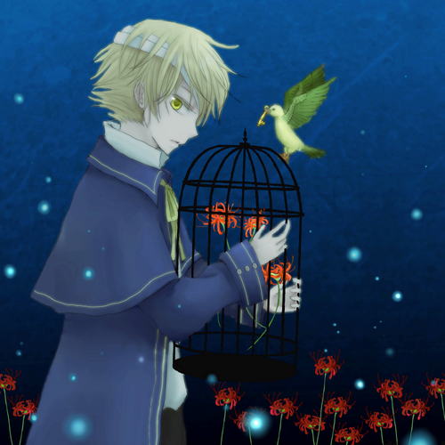 Lycoris