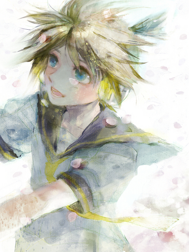 花信