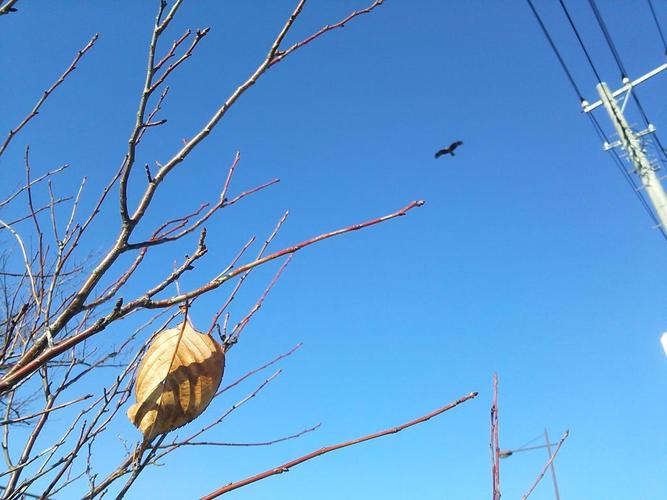 空