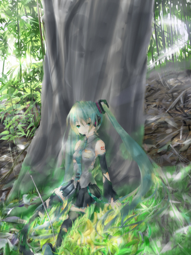 森の中で私は出会った