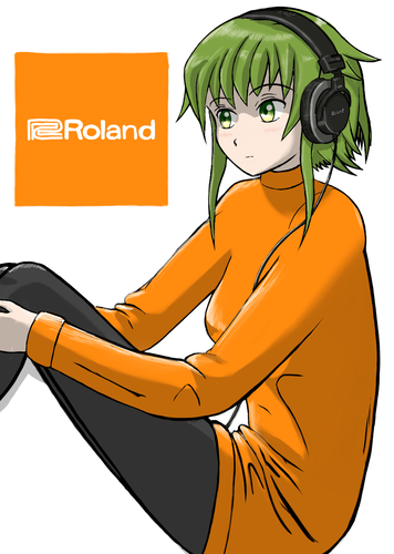 Roland RH-300