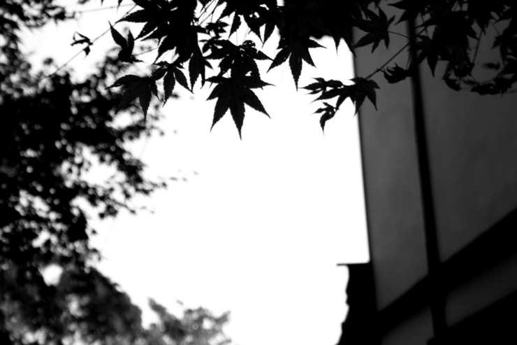 monochrome world 5