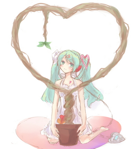 Heart Plant