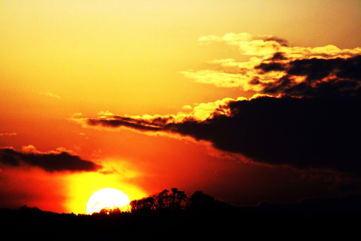 夕焼(素材)