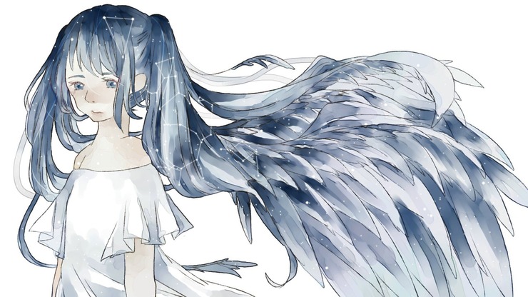 羽と星