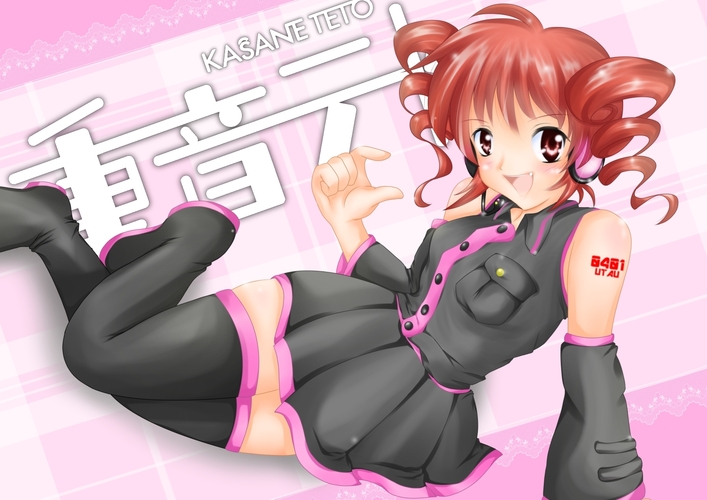 テトたん 2013