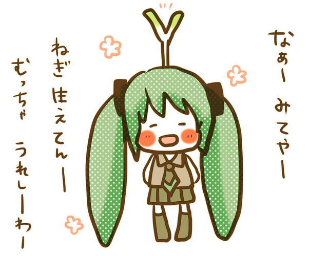 ネギ生えてん