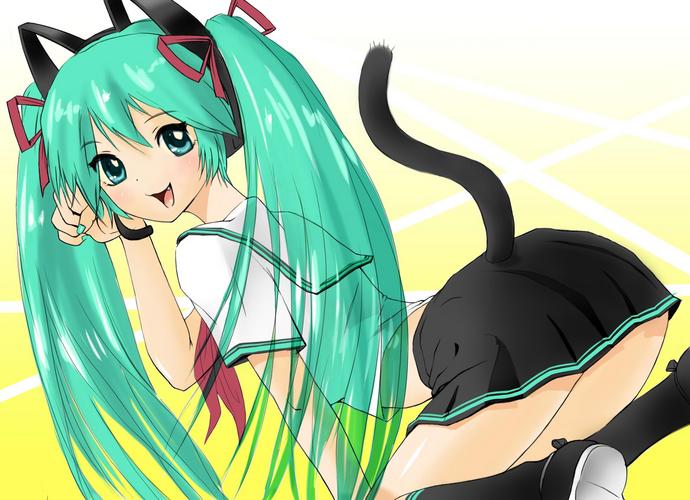 ねこみみ