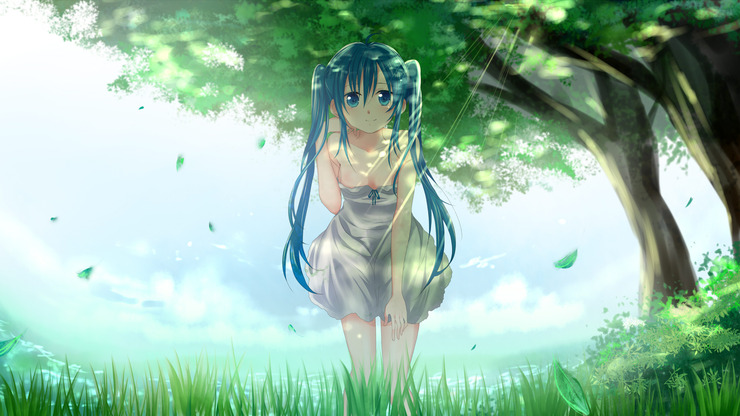 夏
