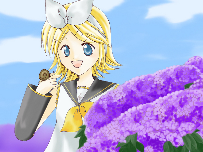 紫陽花の季節