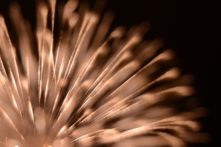 天空に命が芽吹く時