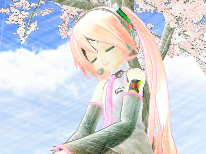 桜の下で