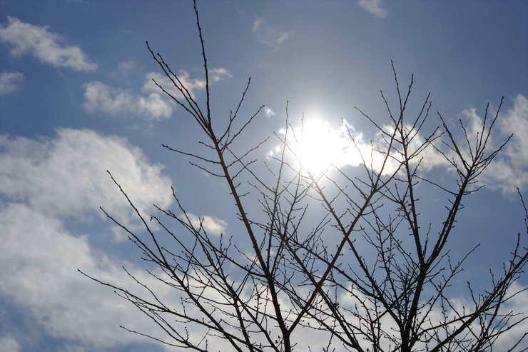 冬空