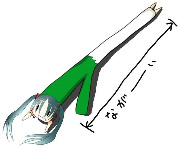 ながーい