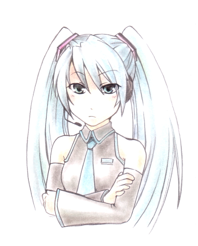 ネギ、忘れたでしょ・・・