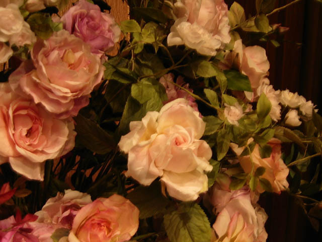写真素材その1