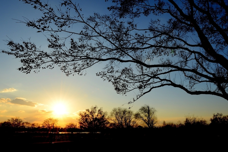 夕暮れの公園
