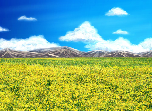 頭の中のお花畑