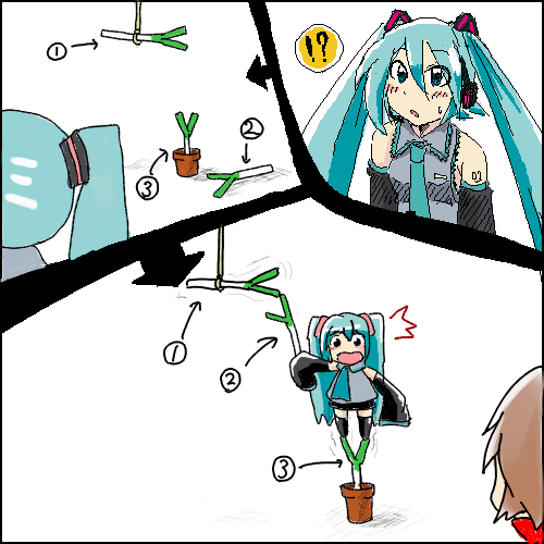 ネギ3本。